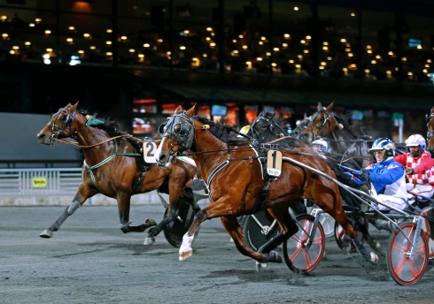 Jagar fjärde raka på Solvalla. Balto d'Huon vinner här V86 på Solvalla i slutet av oktober för Kaj Widell. Amatören Stellan Tidelius tränar. Foto: Maria Holmén, TR Bild Foto av Maria Holmén, TR Bild